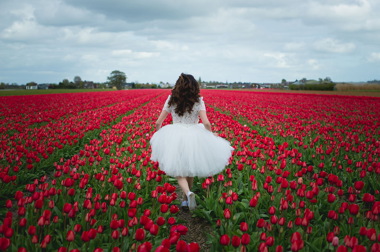 Bride in red tulip field
