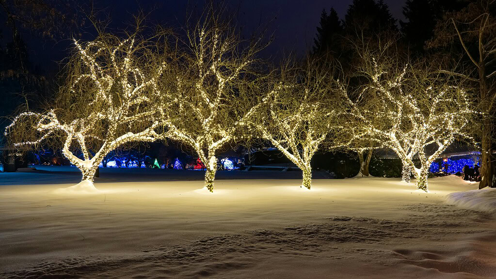 Grand Rapids at Christmas