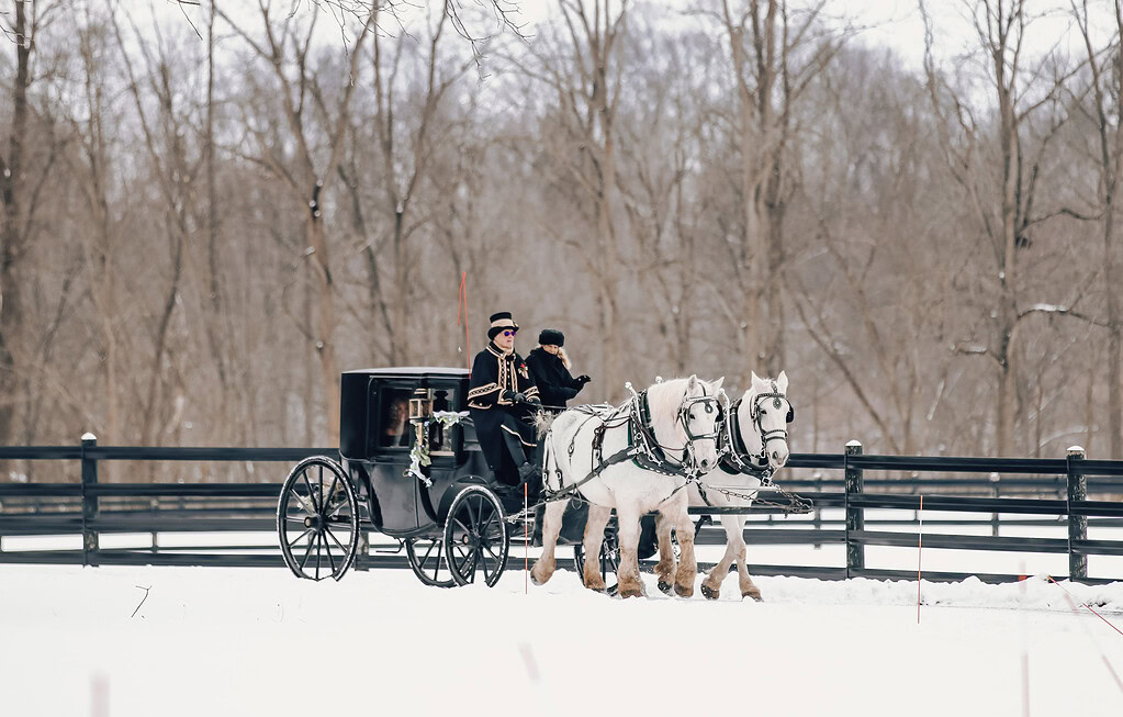 winter weddings in grand rapids